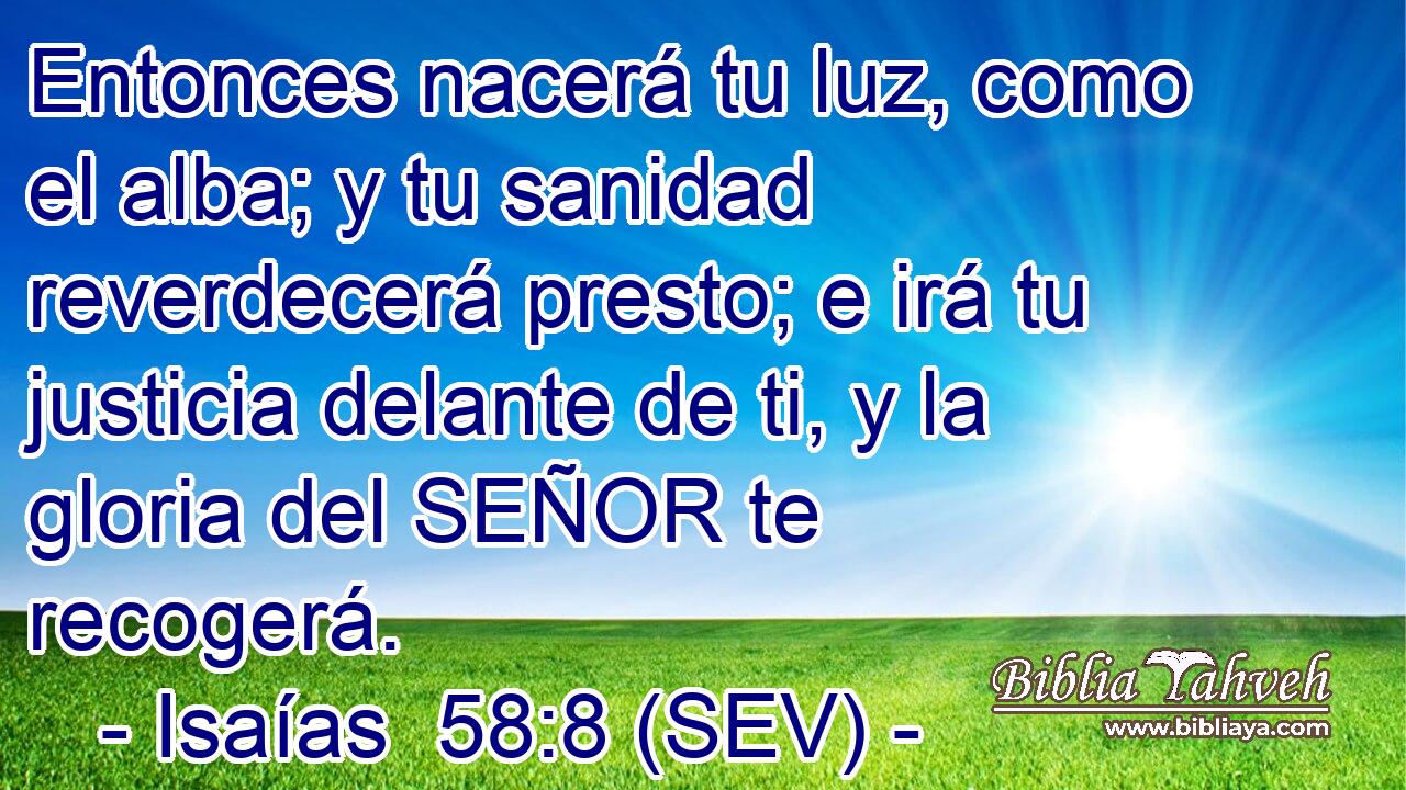 Entonces nacerá tu luz, como el alba; y tu sanidad reverdecerá presto; e irá tu justicia delante de ti, y la gloria del SEÑOR te recogerá.
