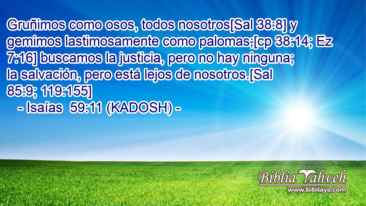  Gruñimos como osos, todos nosotros[Sal 38:8] y gemimos lastimosamente como palomas;[cp 38:14; Ez 7:16] buscamos la justicia, pero no hay ninguna; la salvación, pero está lejos de nosotros.[Sal 85:9; 119:155] 