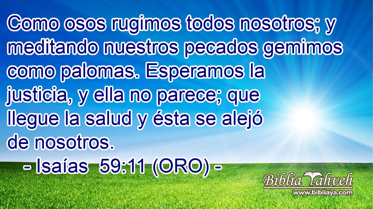  Como osos rugimos todos nosotros; y meditando nuestros pecados gemimos como palomas. Esperamos la justicia, y ella no parece; que llegue la salud y ésta se alejó de nosotros. 
