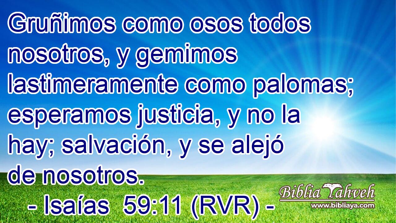 Gruñimos como osos todos nosotros, y gemimos lastimeramente como palomas; esperamos justicia, y no la hay; salvación, y se alejó de nosotros.