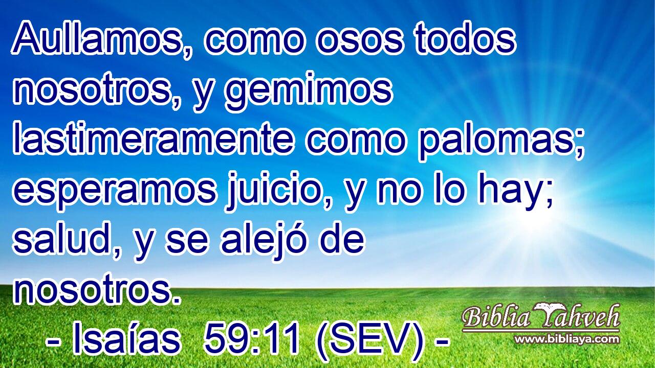 Aullamos, como osos todos nosotros, y gemimos lastimeramente como palomas; esperamos juicio, y no lo hay; salud, y se alejó de nosotros.