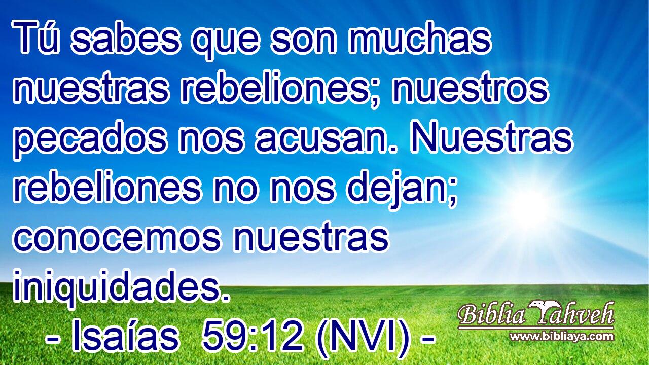  Tú sabes que son muchas nuestras rebeliones; nuestros pecados nos acusan. Nuestras rebeliones no nos dejan; conocemos nuestras iniquidades. 