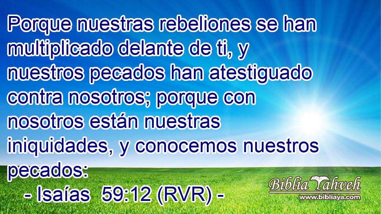 Porque nuestras rebeliones se han multiplicado delante de ti, y nuestros pecados han atestiguado contra nosotros; porque con nosotros están nuestras iniquidades, y conocemos nuestros pecados: