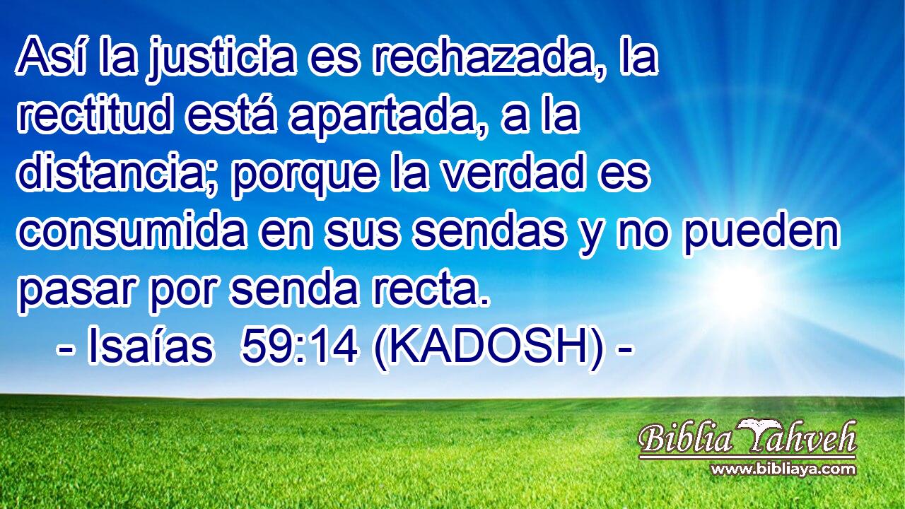  Así la justicia es rechazada, la rectitud está apartada, a la distancia; porque la verdad es consumida en sus sendas y no pueden pasar por senda recta. 