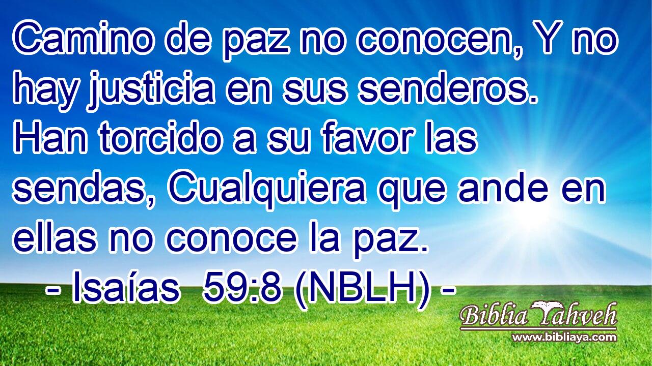  Camino de paz no conocen, Y no hay justicia en sus senderos. Han torcido a su favor las sendas, Cualquiera que ande en ellas no conoce la paz. 