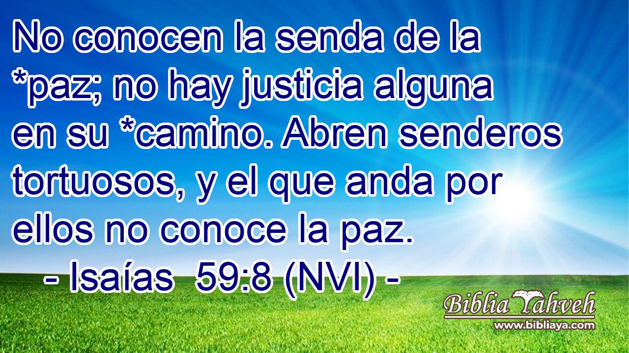  No conocen la senda de la *paz; no hay justicia alguna en su *camino. Abren senderos tortuosos, y el que anda por ellos no conoce la paz. 