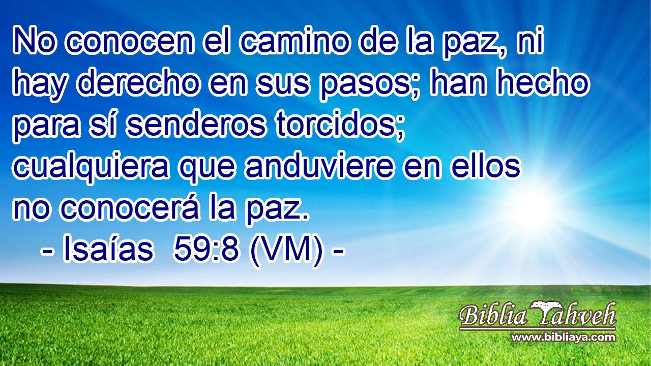 No conocen el camino de la paz, ni hay derecho en sus pasos; han hecho para sí senderos torcidos; cualquiera que anduviere en ellos no conocerá la paz. 