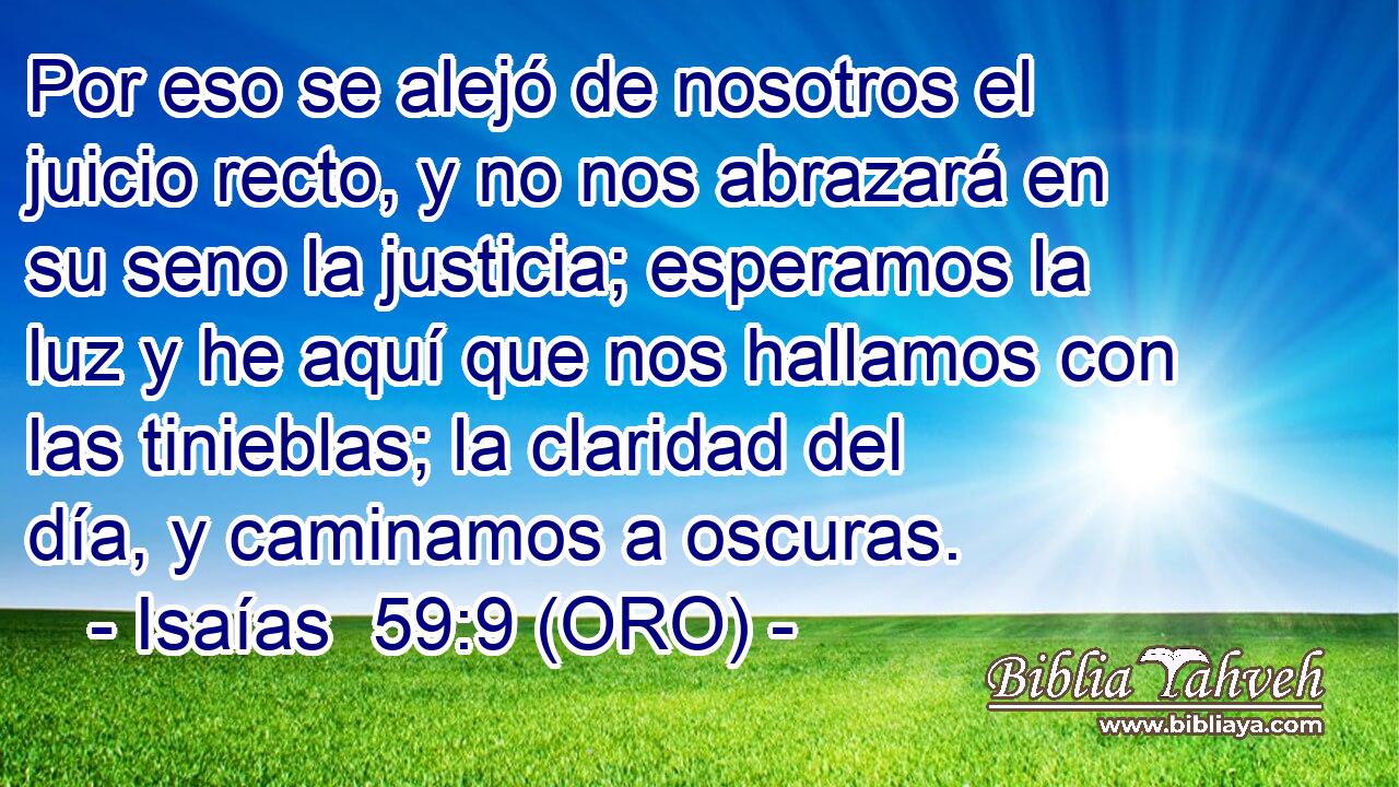  Por eso se alejó de nosotros el juicio recto, y no nos abrazará en su seno la justicia; esperamos la luz y he aquí que nos hallamos con las tinieblas; la claridad del día, y caminamos a oscuras. 