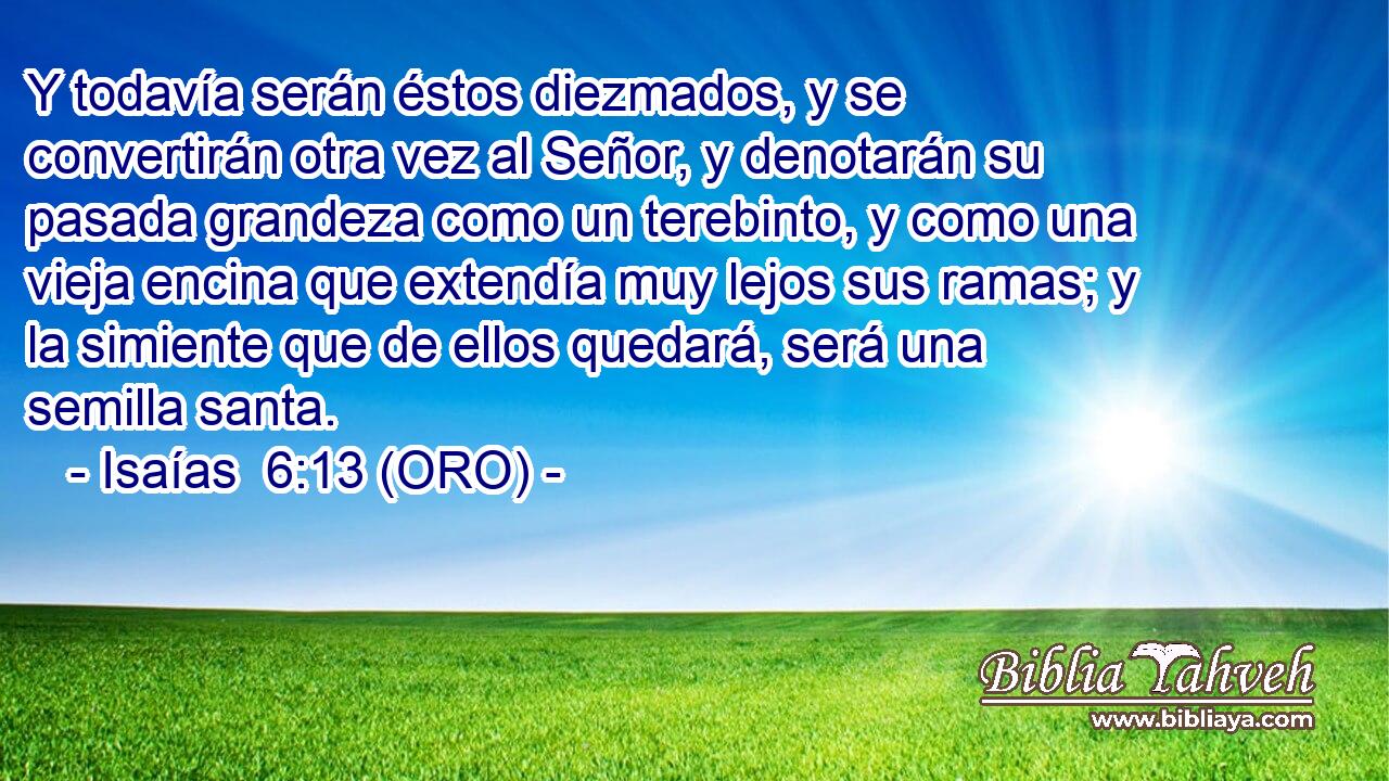  Y todavía serán éstos diezmados, y se convertirán otra vez al Señor, y denotarán su pasada grandeza como un terebinto, y como una vieja encina que extendía muy lejos sus ramas; y la simiente que de ellos quedará, será una semilla santa. 