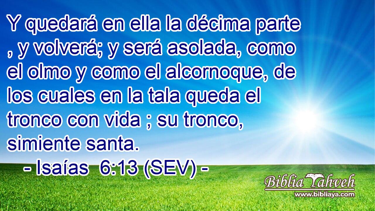 Y quedará en ella la décima parte , y volverá; y será asolada, como el olmo y como el alcornoque, de los cuales en la tala queda el tronco con vida ; su tronco, simiente santa.