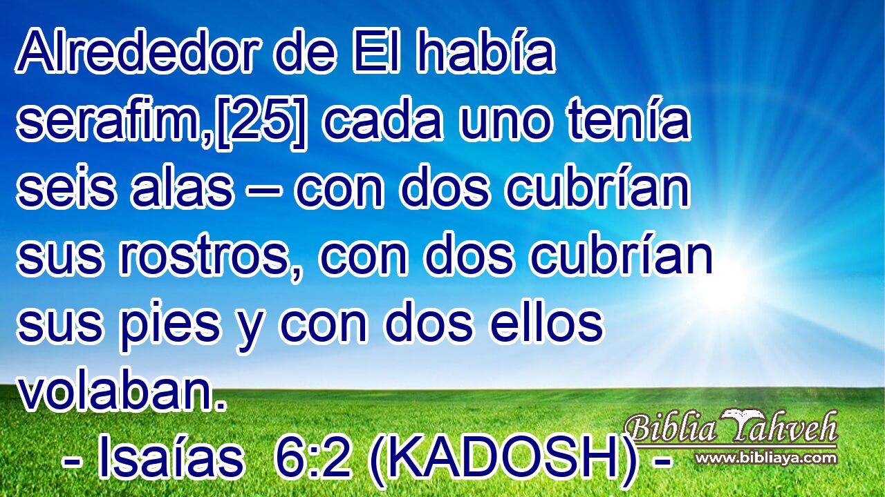  Alrededor de El había serafim,[25] cada uno tenía seis alas – con dos cubrían sus rostros, con dos cubrían sus pies y con dos ellos volaban. 