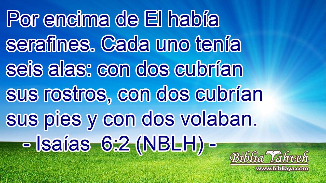  Por encima de El había serafines. Cada uno tenía seis alas: con dos cubrían sus rostros, con dos cubrían sus pies y con dos volaban. 