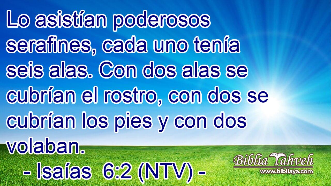 Lo asistían poderosos serafines, cada uno tenía seis alas. Con dos alas se cubrían el rostro, con dos se cubrían los pies y con dos volaban.