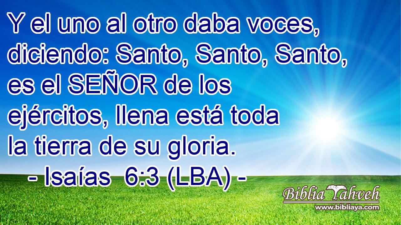 Y el uno al otro daba voces, diciendo: Santo, Santo, Santo, es el SEÑOR de los ejércitos, llena está toda la tierra de su gloria.