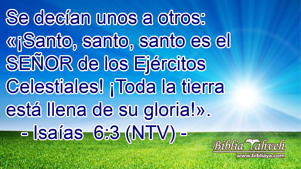 Se decían unos a otros: «¡Santo, santo, santo es el SEÑOR de los Ejércitos Celestiales! ¡Toda la tierra está llena de su gloria!».