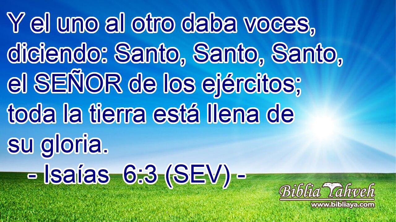 Y el uno al otro daba voces, diciendo: Santo, Santo, Santo, el SEÑOR de los ejércitos; toda la tierra está llena de su gloria.
