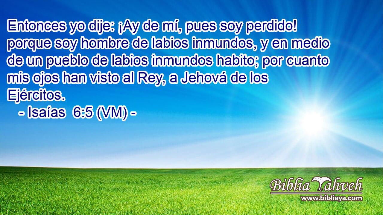  Entonces yo dije: ¡Ay de mí, pues soy perdido! porque soy hombre de labios inmundos, y en medio de un pueblo de labios inmundos habito; por cuanto mis ojos han visto al Rey, a Jehová de los Ejércitos. 