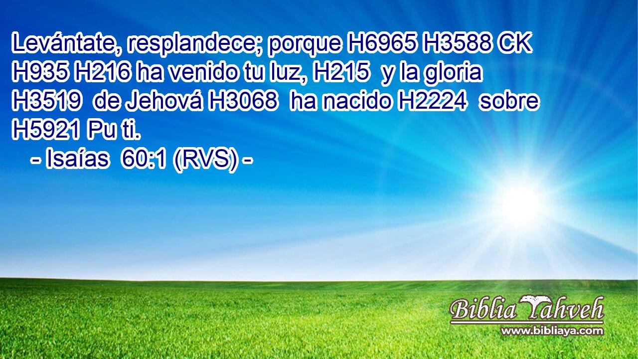 Levántate, resplandece; porque H6965 H3588 CK H935 H216 ha venido tu luz, H215  y la gloria H3519  de Jehová H3068  ha nacido H2224  sobre H5921 Pu ti. 