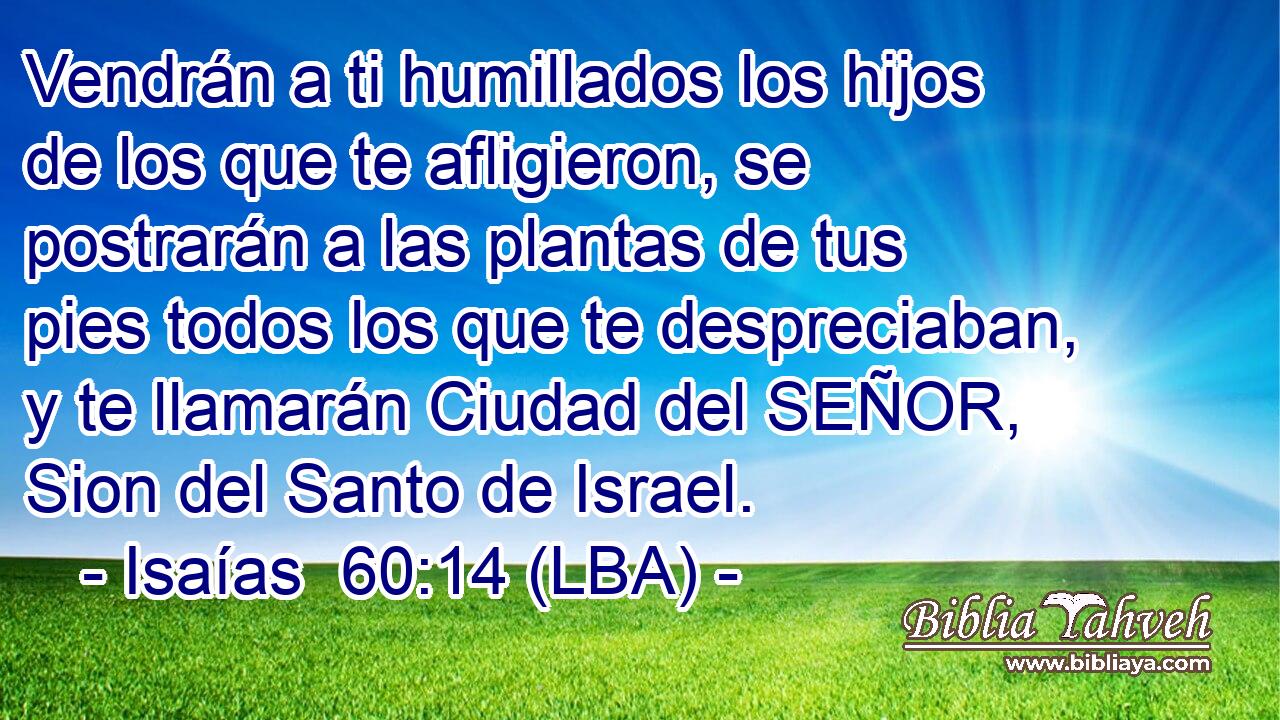 Vendrán a ti humillados los hijos de los que te afligieron, se postrarán a las plantas de tus pies todos los que te despreciaban, y te llamarán Ciudad del SEÑOR, Sion del Santo de Israel.