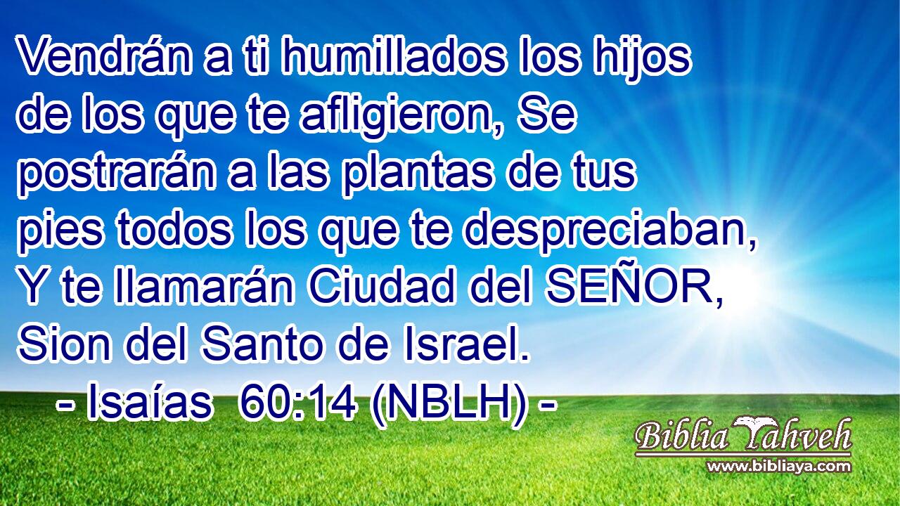  Vendrán a ti humillados los hijos de los que te afligieron, Se postrarán a las plantas de tus pies todos los que te despreciaban, Y te llamarán Ciudad del SEÑOR, Sion del Santo de Israel. 