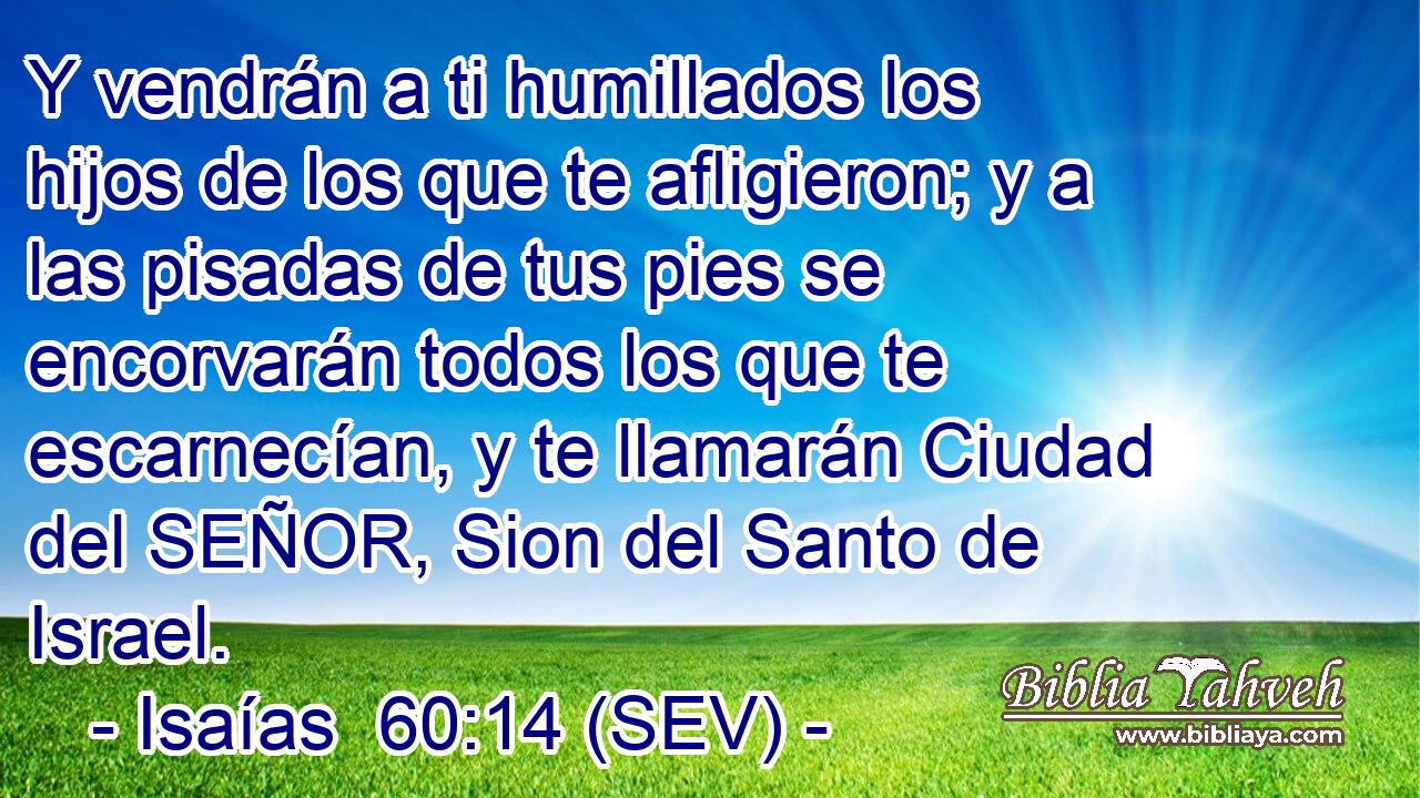 Y vendrán a ti humillados los hijos de los que te afligieron; y a las pisadas de tus pies se encorvarán todos los que te escarnecían, y te llamarán Ciudad del SEÑOR, Sion del Santo de Israel.