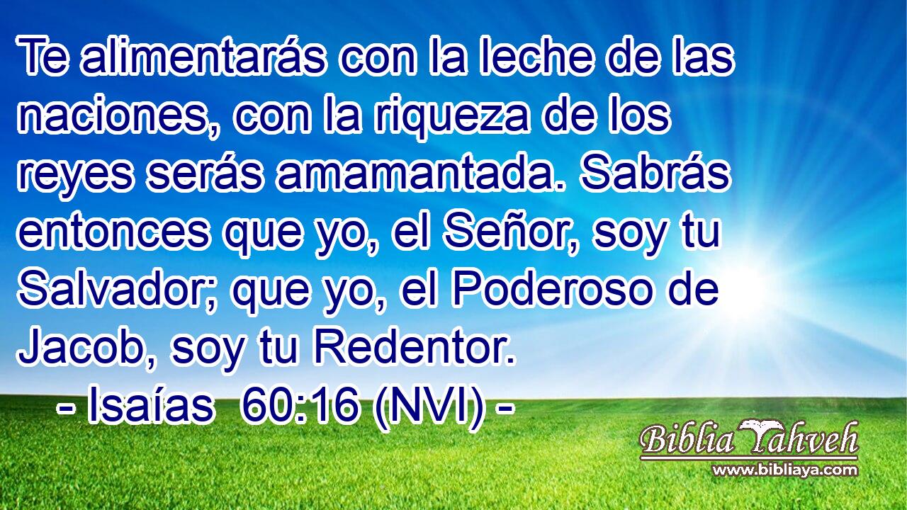  Te alimentarás con la leche de las naciones, con la riqueza de los reyes serás amamantada. Sabrás entonces que yo, el Señor, soy tu Salvador; que yo, el Poderoso de Jacob, soy tu Redentor. 