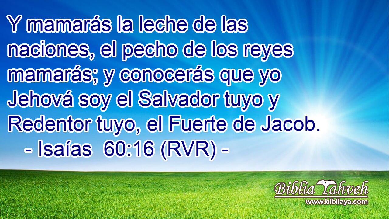 Y mamarás la leche de las naciones, el pecho de los reyes mamarás; y conocerás que yo Jehová soy el Salvador tuyo y Redentor tuyo, el Fuerte de Jacob.