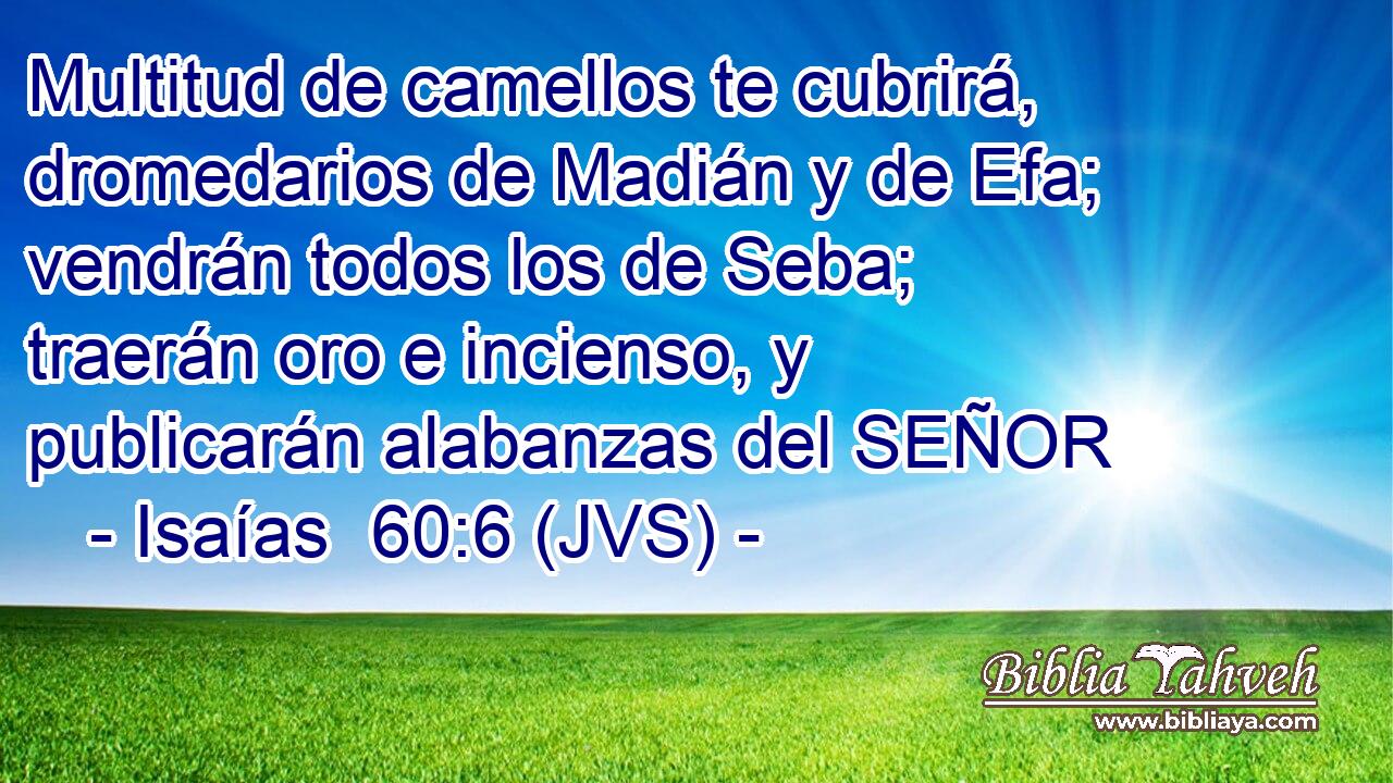 Multitud de camellos te cubrirá, dromedarios de Madián y de Efa; vendrán todos los de Seba; traerán oro e incienso, y publicarán alabanzas del SEÑOR