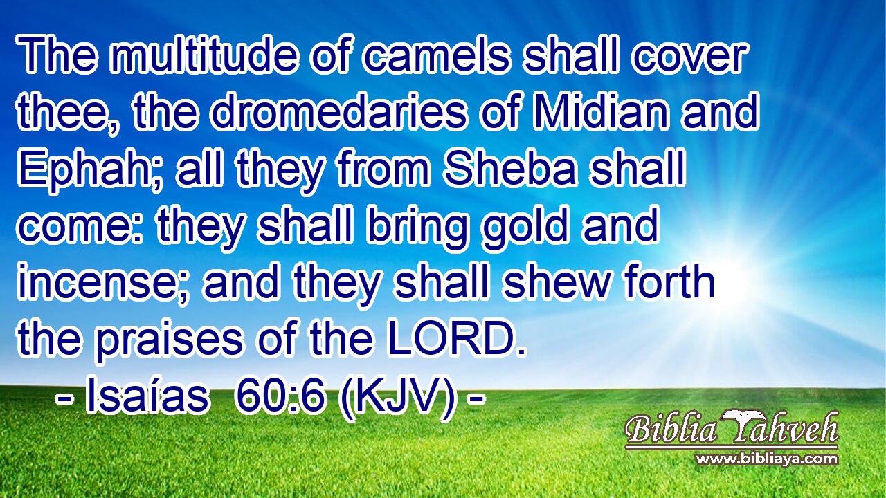 The multitude of camels shall cover thee, the dromedaries of Midian and Ephah; all they from Sheba shall come: they shall bring gold and incense; and they shall shew forth the praises of the LORD.