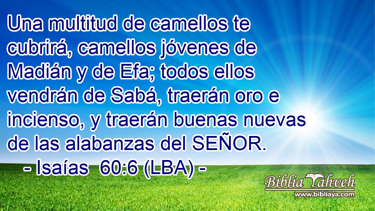 Una multitud de camellos te cubrirá, camellos jóvenes de Madián y de Efa; todos ellos vendrán de Sabá, traerán oro e incienso, y traerán buenas nuevas de las alabanzas del SEÑOR.