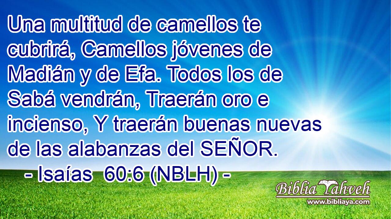  Una multitud de camellos te cubrirá, Camellos jóvenes de Madián y de Efa. Todos los de Sabá vendrán, Traerán oro e incienso, Y traerán buenas nuevas de las alabanzas del SEÑOR. 