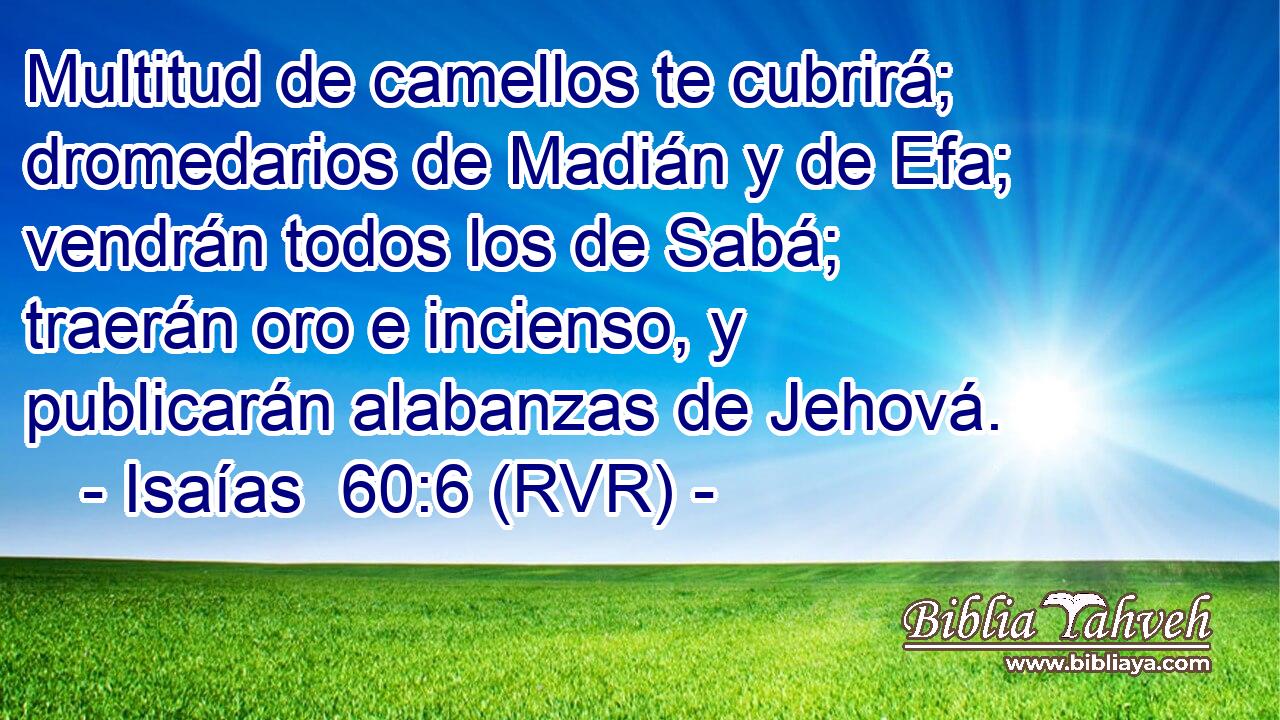 Multitud de camellos te cubrirá; dromedarios de Madián y de Efa; vendrán todos los de Sabá; traerán oro e incienso, y publicarán alabanzas de Jehová.