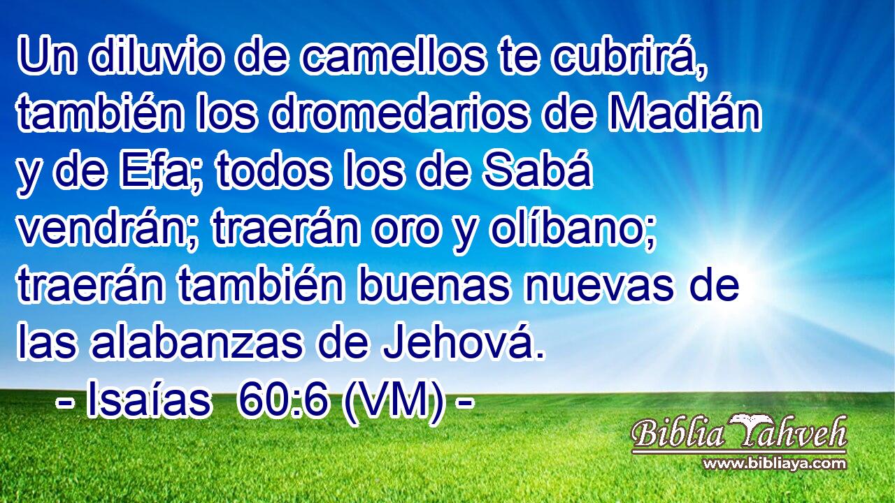  Un diluvio de camellos te cubrirá, también los dromedarios de Madián y de Efa; todos los de Sabá vendrán; traerán oro y olíbano; traerán también buenas nuevas de las alabanzas de Jehová. 
