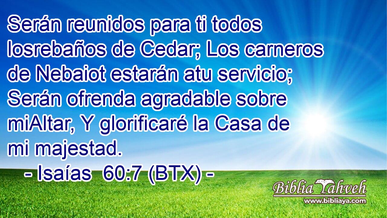 Serán reunidos para ti todos losrebaños de Cedar; Los carneros de Nebaiot estarán atu servicio; Serán ofrenda agradable sobre miAltar, Y glorificaré la Casa de mi majestad.