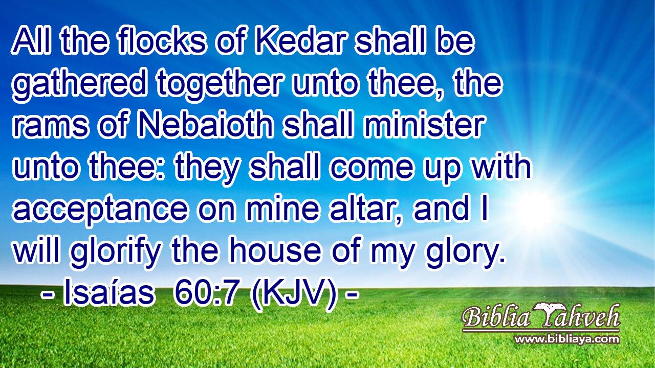 All the flocks of Kedar shall be gathered together unto thee, the rams of Nebaioth shall minister unto thee: they shall come up with acceptance on mine altar, and I will glorify the house of my glory.