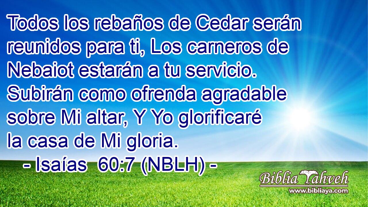  Todos los rebaños de Cedar serán reunidos para ti, Los carneros de Nebaiot estarán a tu servicio. Subirán como ofrenda agradable sobre Mi altar, Y Yo glorificaré la casa de Mi gloria. 