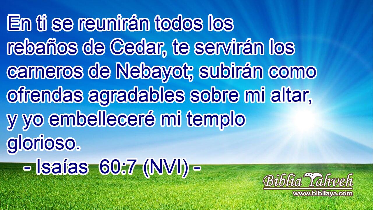  En ti se reunirán todos los rebaños de Cedar, te servirán los carneros de Nebayot; subirán como ofrendas agradables sobre mi altar, y yo embelleceré mi templo glorioso. 