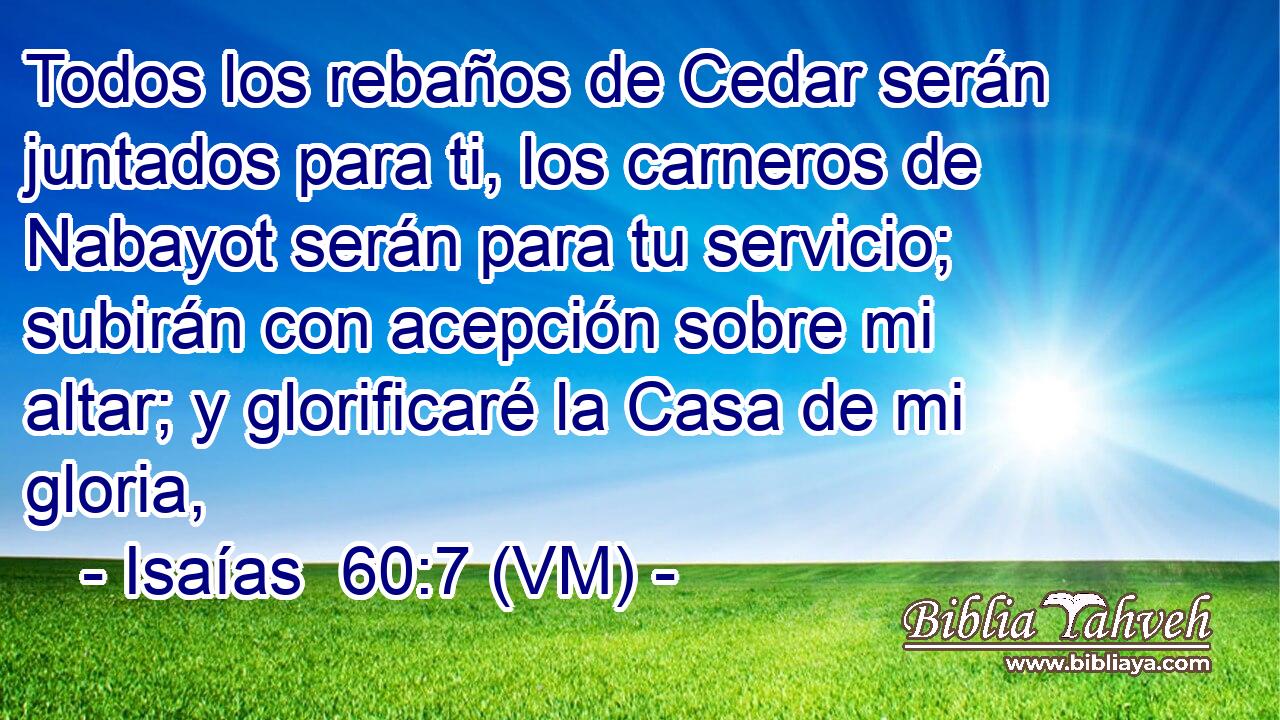  Todos los rebaños de Cedar serán juntados para ti, los carneros de Nabayot serán para tu servicio; subirán con acepción sobre mi altar; y glorificaré la Casa de mi gloria, 