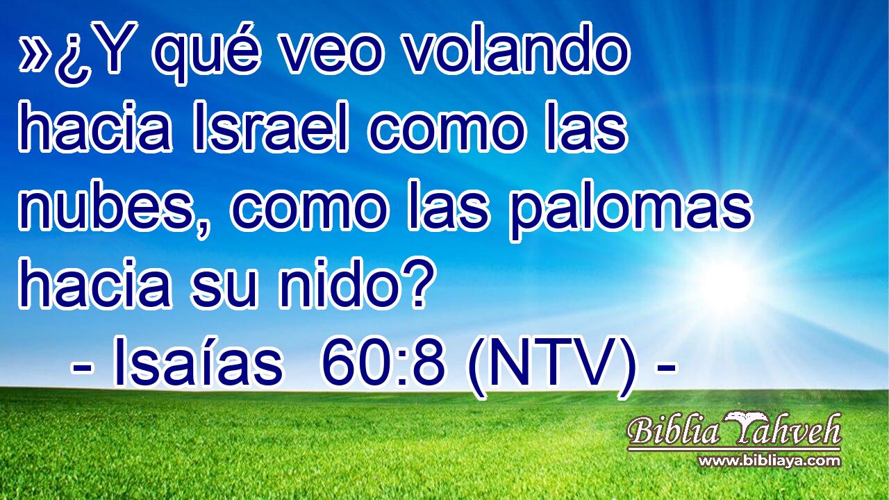 »¿Y qué veo volando hacia Israel como las nubes, como las palomas hacia su nido?