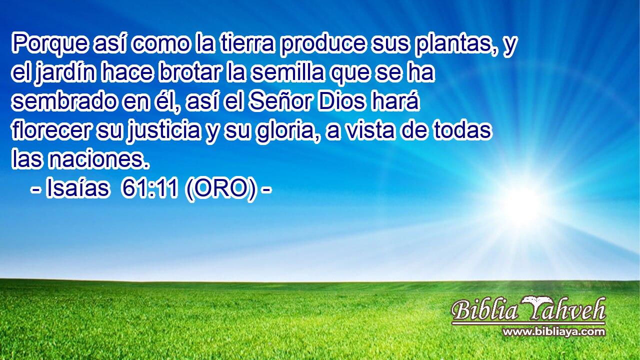  Porque así como la tierra produce sus plantas, y el jardín hace brotar la semilla que se ha sembrado en él, así el Señor Dios hará florecer su justicia y su gloria, a vista de todas las naciones. 