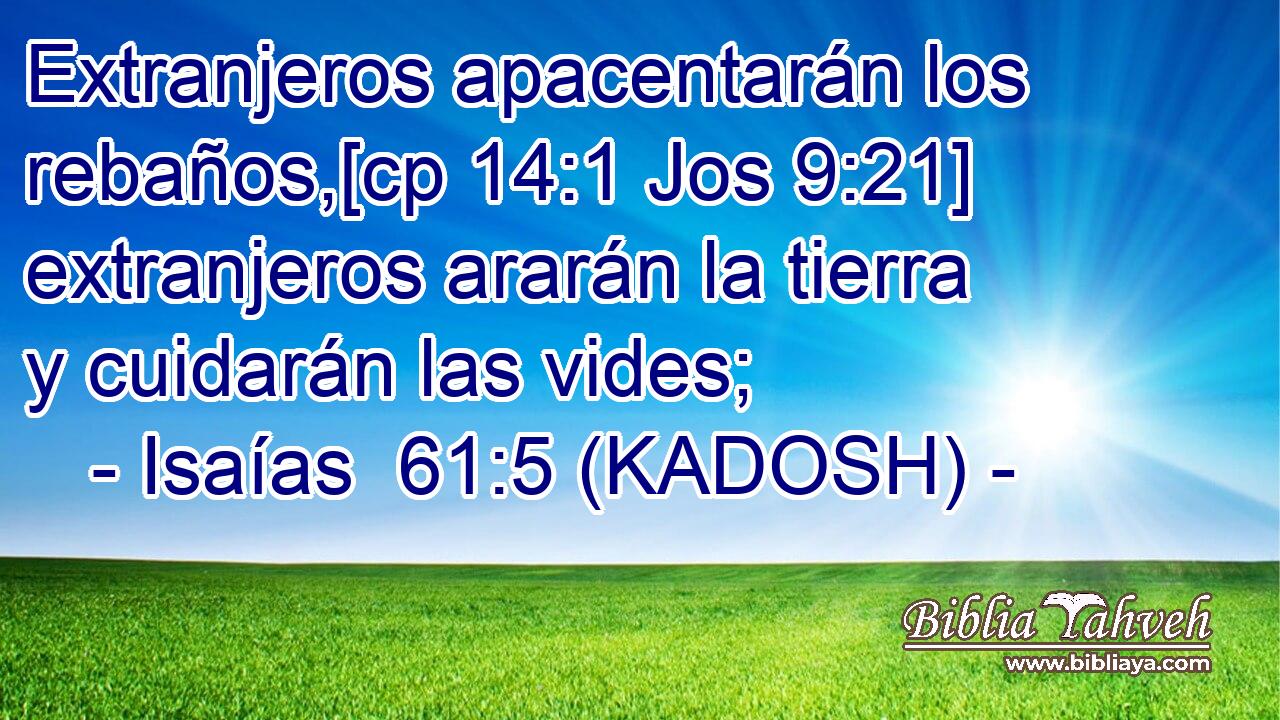  Extranjeros apacentarán los rebaños,[cp 14:1 Jos 9:21] extranjeros ararán la tierra y cuidarán las vides; 