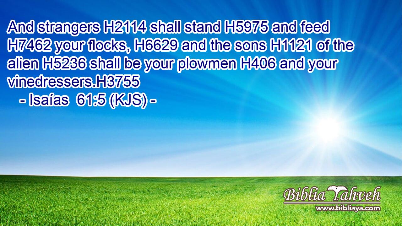 And strangers H2114 shall stand H5975 and feed H7462 your flocks, H6629 and the sons H1121 of the alien H5236 shall be your plowmen H406 and your vinedressers.H3755
