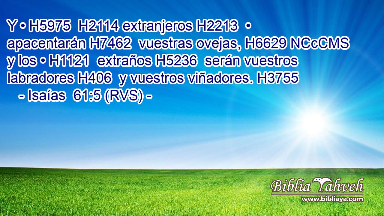 Y • H5975  H2114 extranjeros H2213  • apacentarán H7462  vuestras ovejas, H6629 NCcCMS y los • H1121  extraños H5236  serán vuestros labradores H406  y vuestros viñadores. H3755  