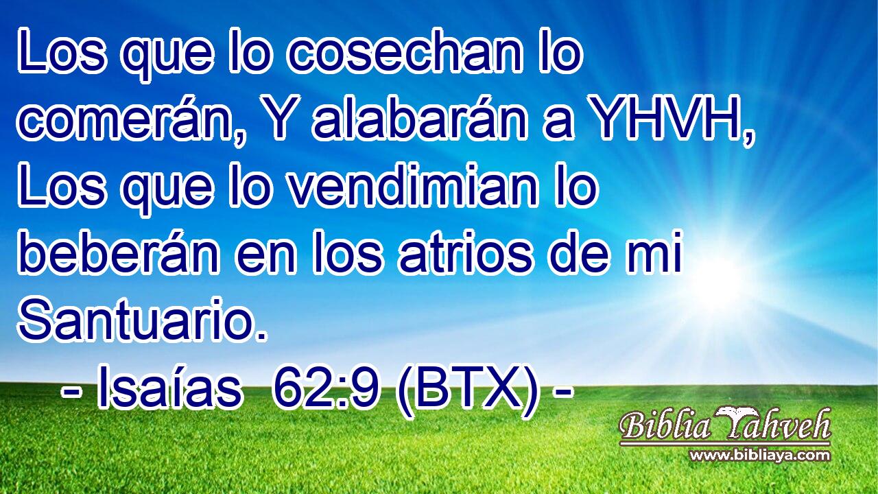 Los que lo cosechan lo comerán, Y alabarán a YHVH, Los que lo vendimian lo beberán en los atrios de mi Santuario.