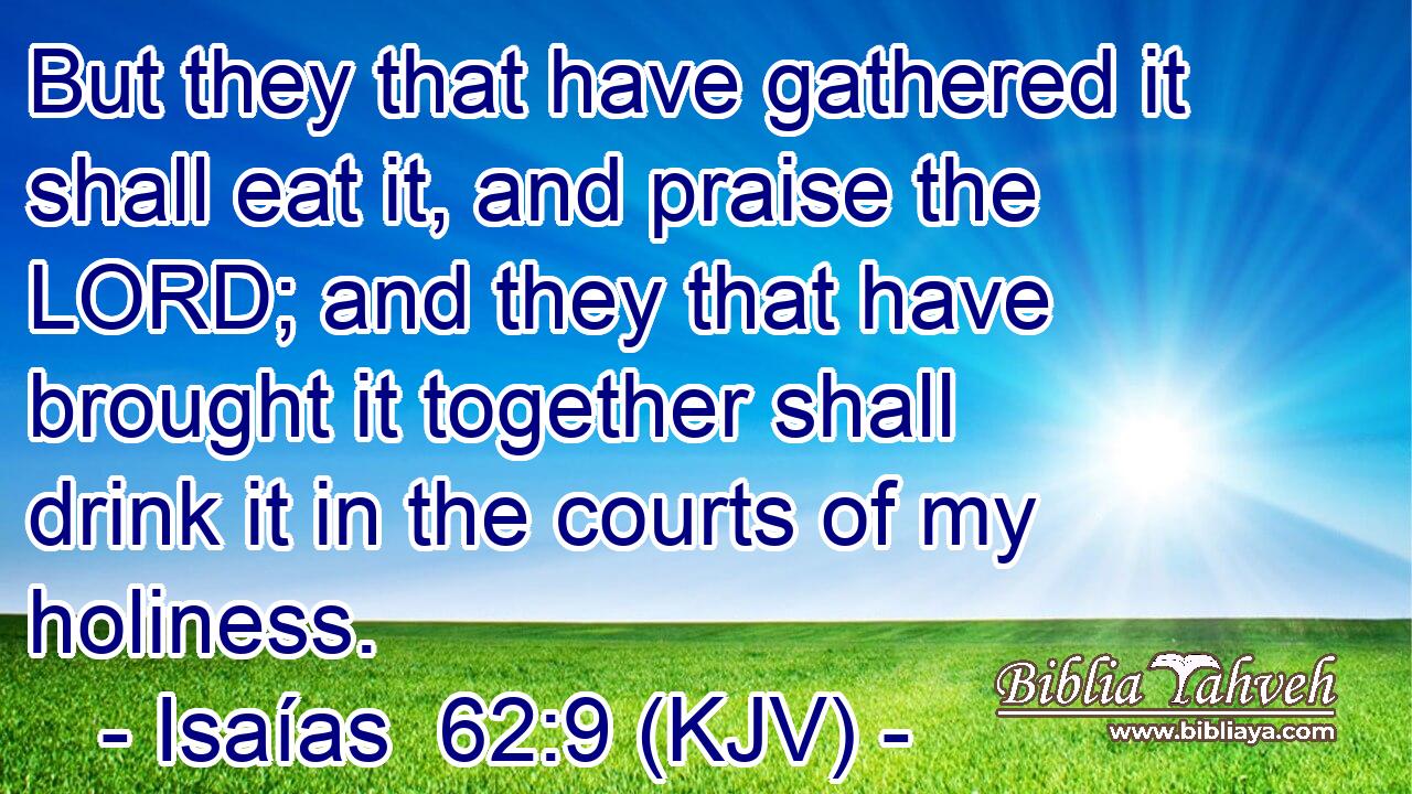 But they that have gathered it shall eat it, and praise the LORD; and they that have brought it together shall drink it in the courts of my holiness.