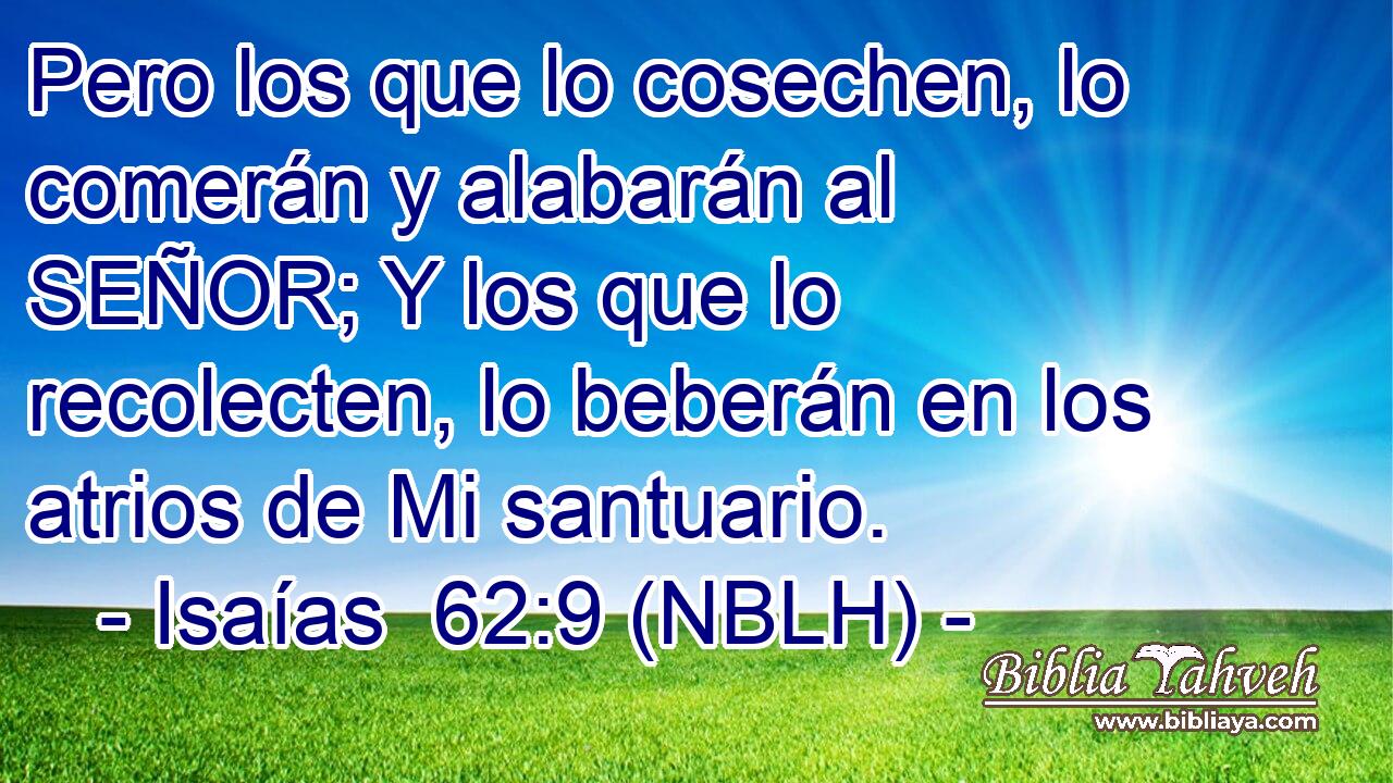 Pero los que lo cosechen, lo comerán y alabarán al SEÑOR; Y los que lo recolecten, lo beberán en los atrios de Mi santuario. 