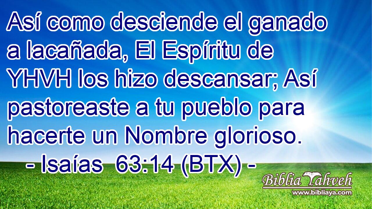 Así como desciende el ganado a lacañada, El Espíritu de YHVH los hizo descansar; Así pastoreaste a tu pueblo para hacerte un Nombre glorioso.