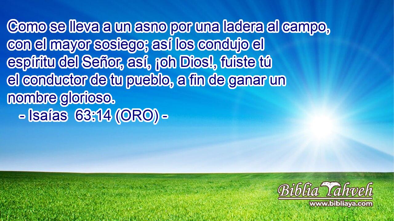  Como se lleva a un asno por una ladera al campo, con el mayor sosiego; así los condujo el espíritu del Señor, así, ¡oh Dios!, fuiste tú el conductor de tu pueblo, a fin de ganar un nombre glorioso. 