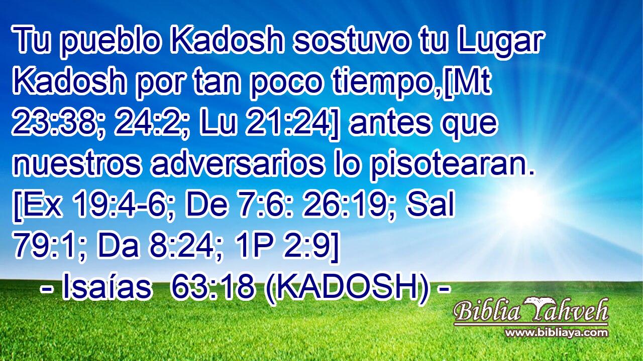  Tu pueblo Kadosh sostuvo tu Lugar Kadosh por tan poco tiempo,[Mt 23:38; 24:2; Lu 21:24] antes que nuestros adversarios lo pisotearan. [Ex 19:4-6; De 7:6: 26:19; Sal 79:1; Da 8:24; 1P 2:9] 