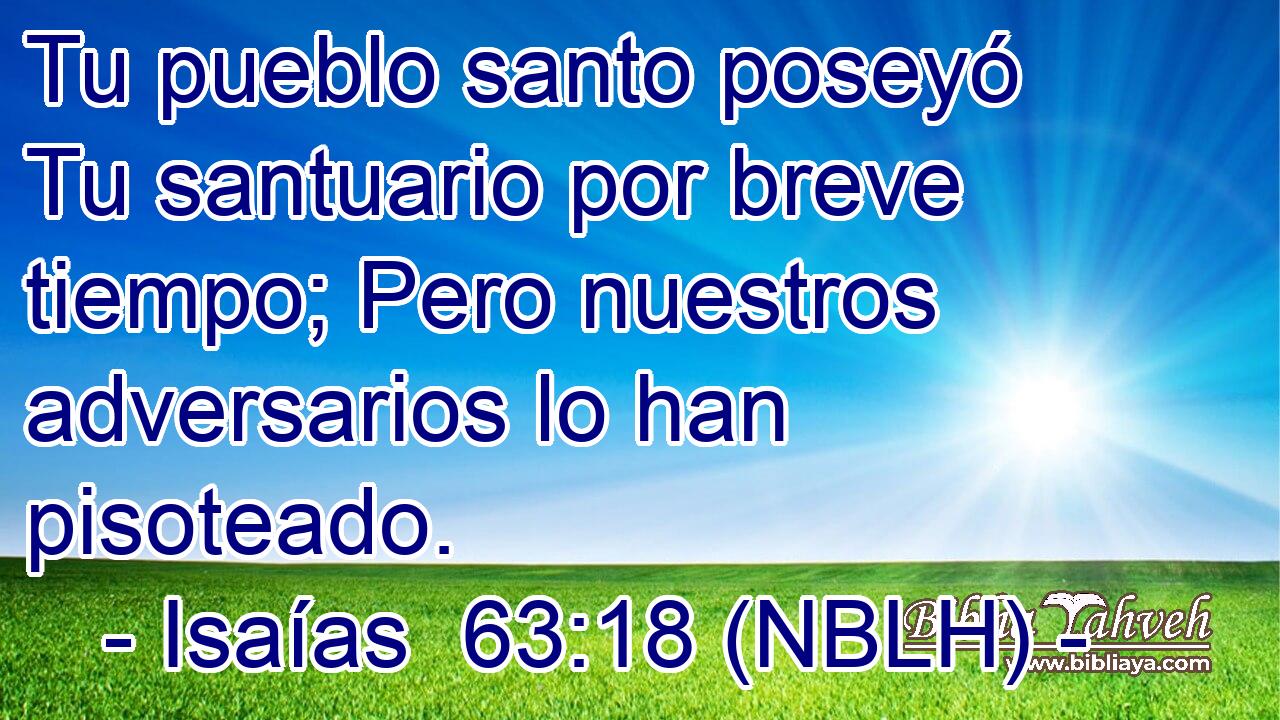  Tu pueblo santo poseyó Tu santuario por breve tiempo; Pero nuestros adversarios lo han pisoteado. 